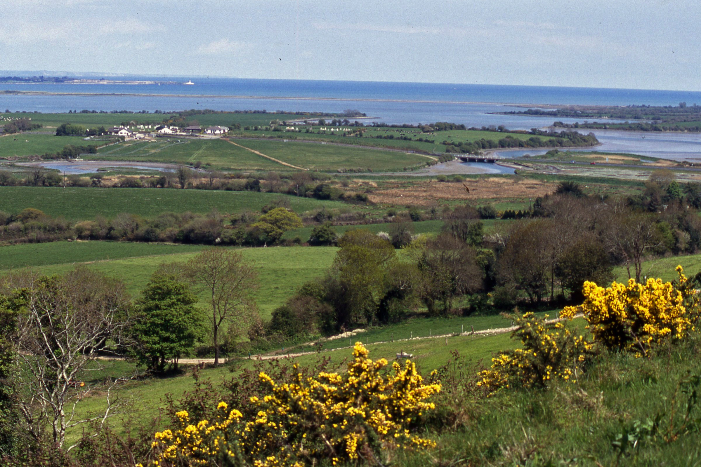 Bantry_Bay[1].webp
